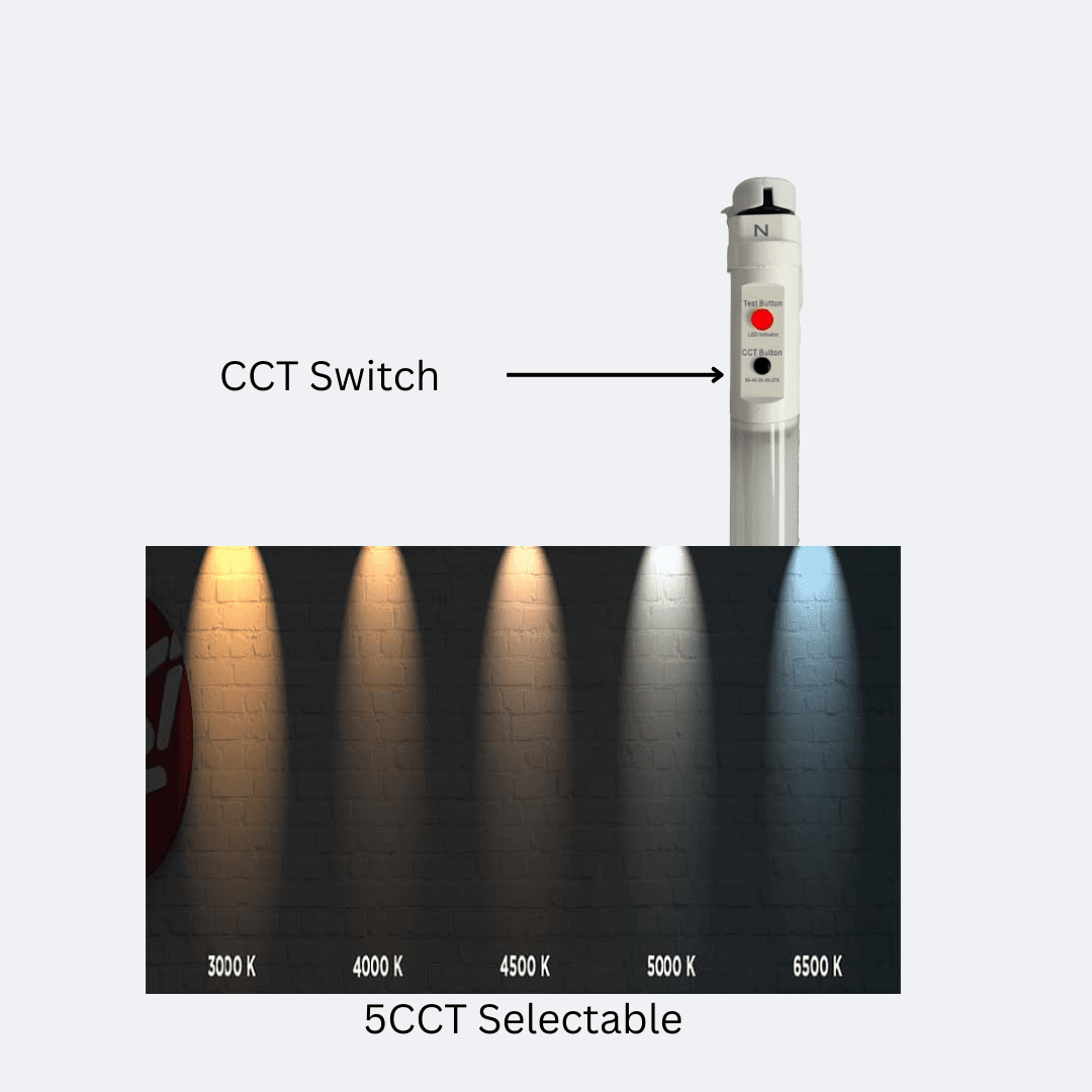 E2-T8-TC-4FT-15W-2730354050K-E-2P-Showcase