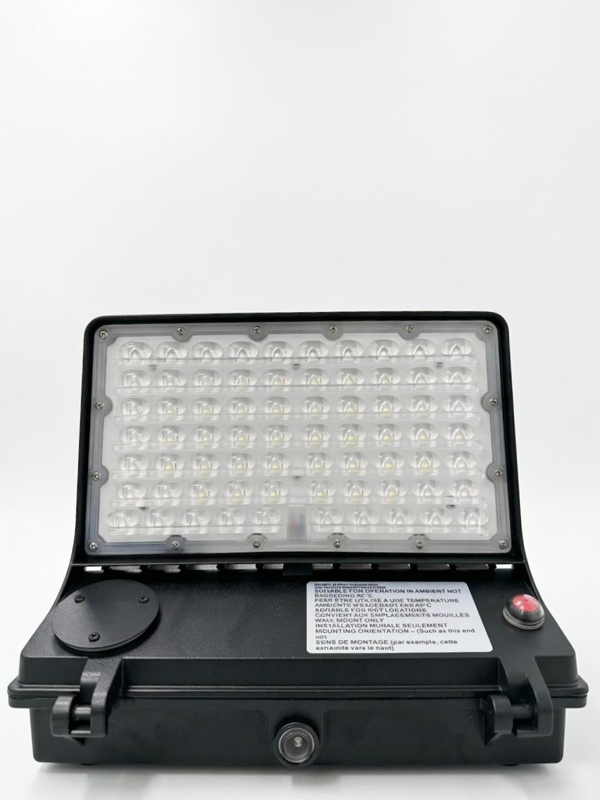 E2-WP-F-WP10-80W-50K-M-P-E-BK-1